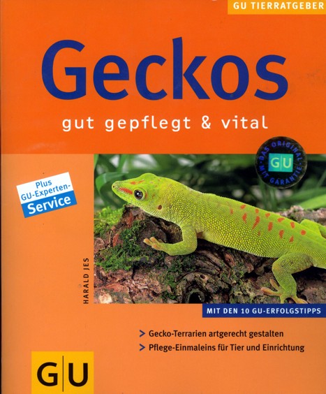Geckos - Vorderseite