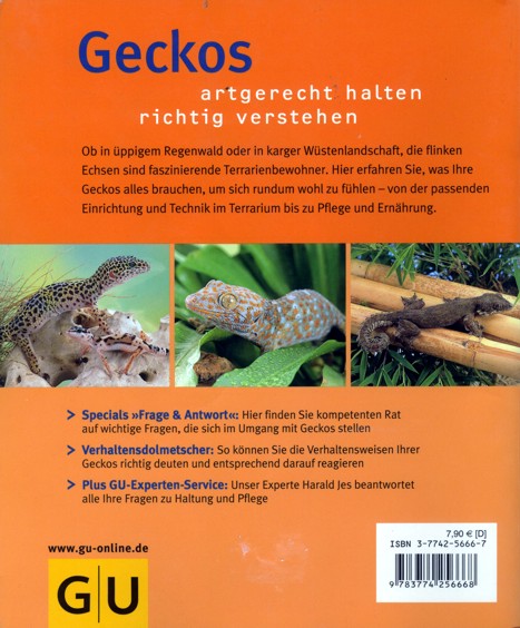 Geckos - Rückseite